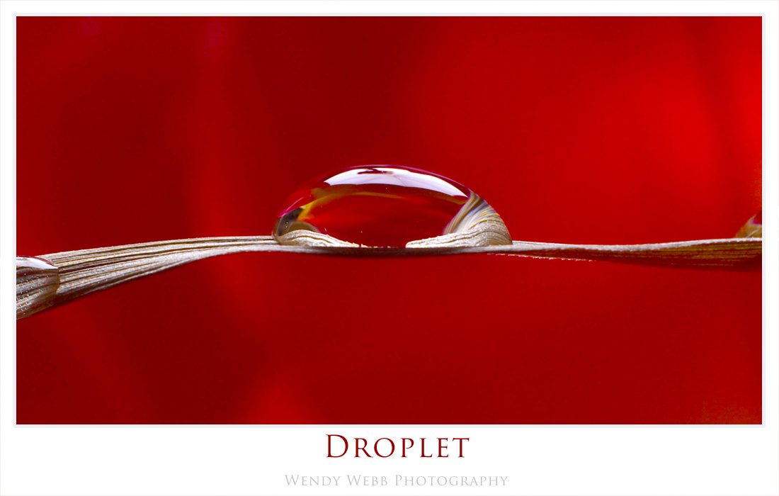 Droplet