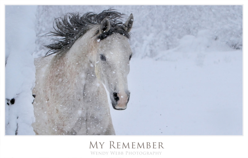 remember