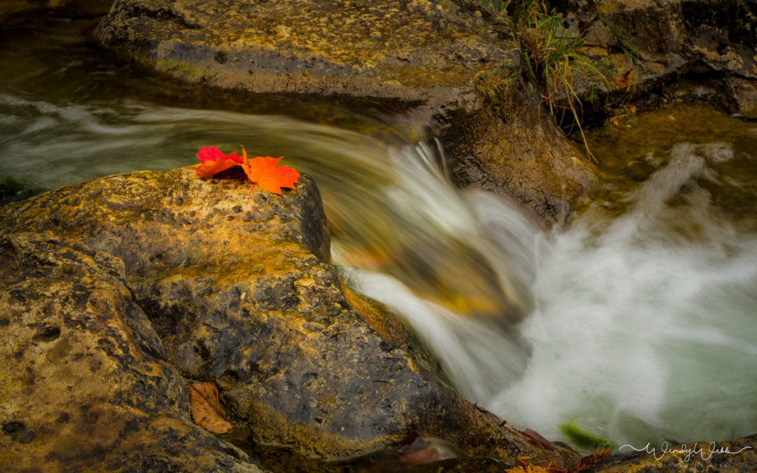 Fall in the Beaver Valley